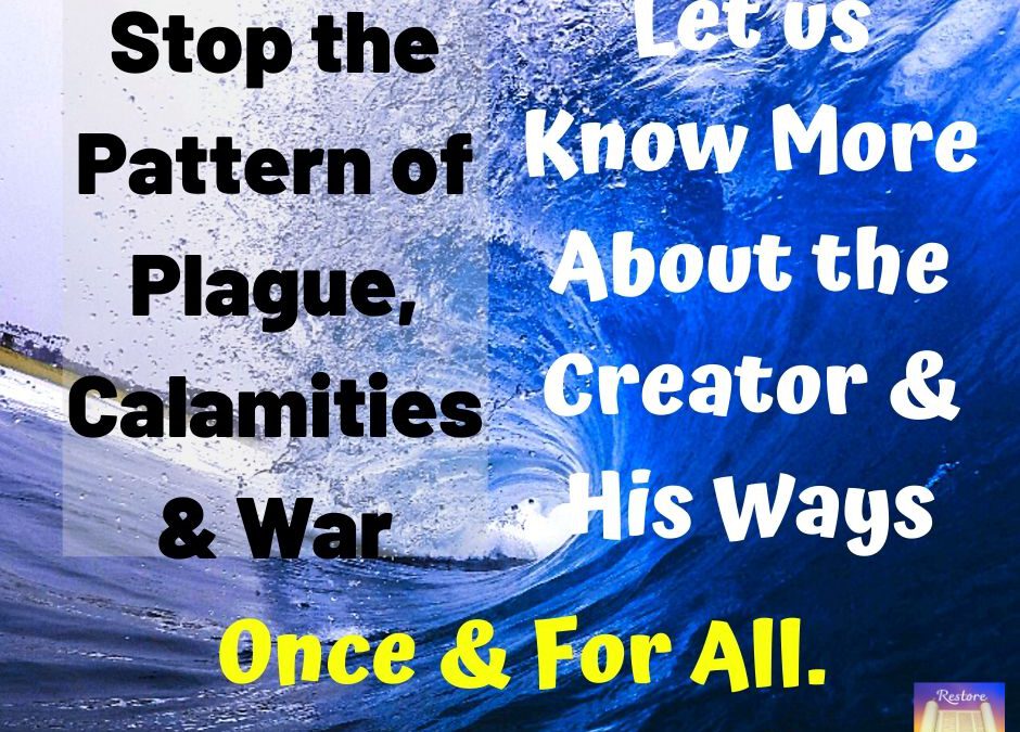 11 Sivan 5780 / 3 June 2020 Stop the Pattern