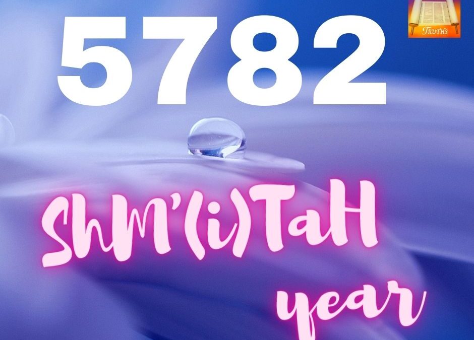 The Profound Year of  5782 ShM'(i)TaH Year
